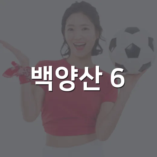 백양산 6.2km 함께 걷는다