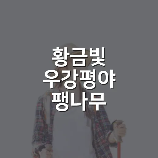 황금빛 우강평야 팽나무