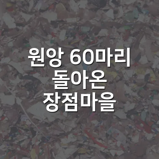 원앙 60마리 돌아온 장점마을