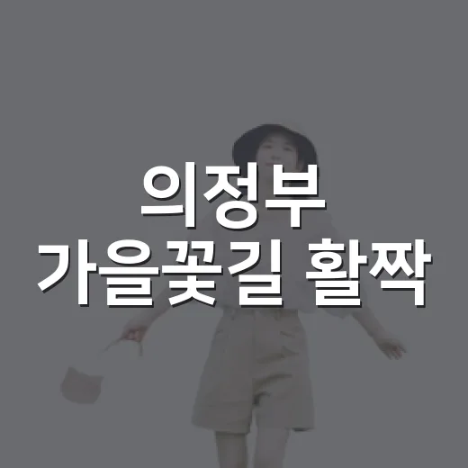 의정부 가을꽃길 활짝
