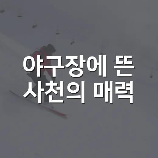 야구장에 뜬 사천의 매력