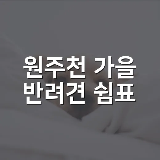 원주천 가을 반려견 쉼표