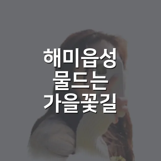 해미읍성 물드는 가을꽃길