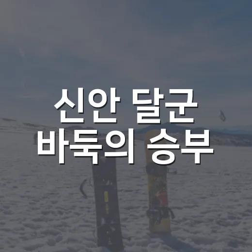 신안 달군 바둑의 승부