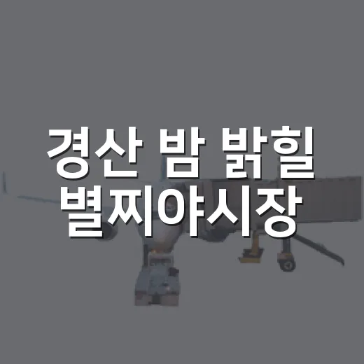 경산 밤 밝힐 별찌야시장