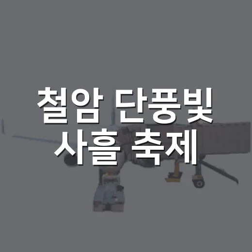 철암 단풍빛 사흘 축제