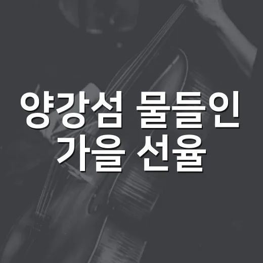 양강섬 물들인 가을 선율