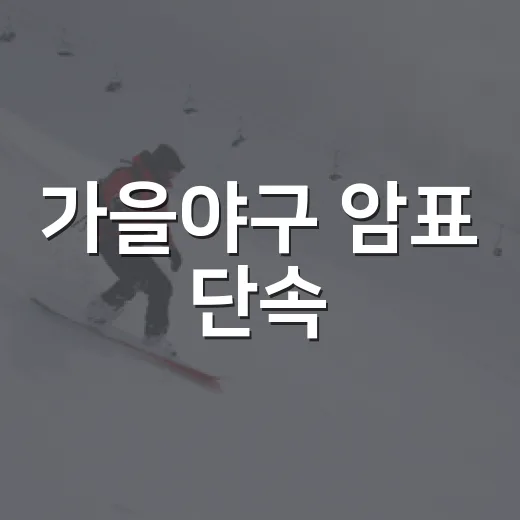 가을야구 암표 단속, 14일부터 전 구장