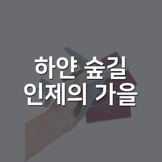 하얀 숲길 인제의 가을