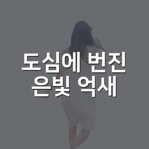 도심에 번진 은빛 억새