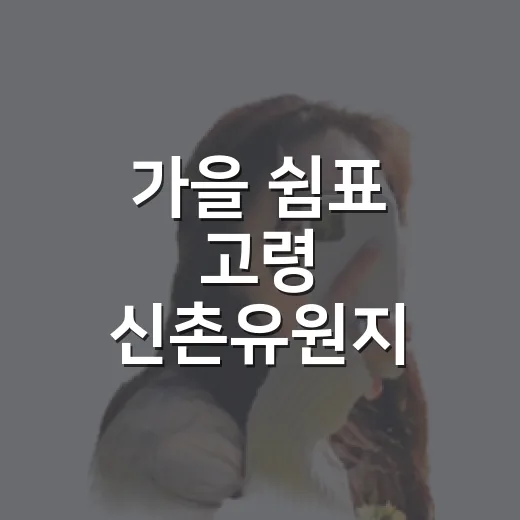 가을 쉼표 고령 신촌유원지