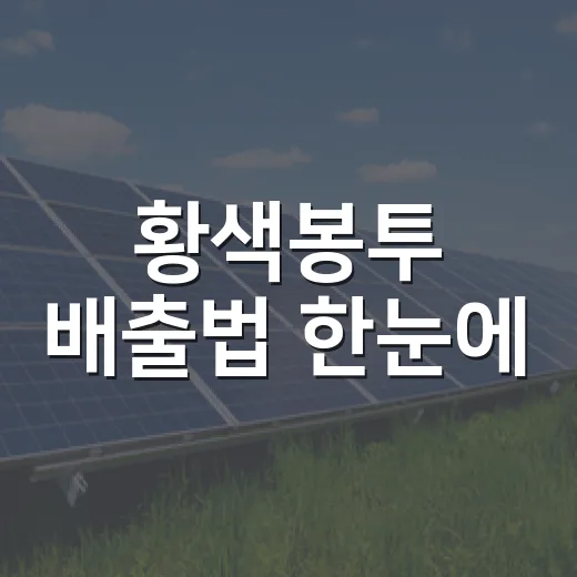 황색봉투 배출법 한눈에