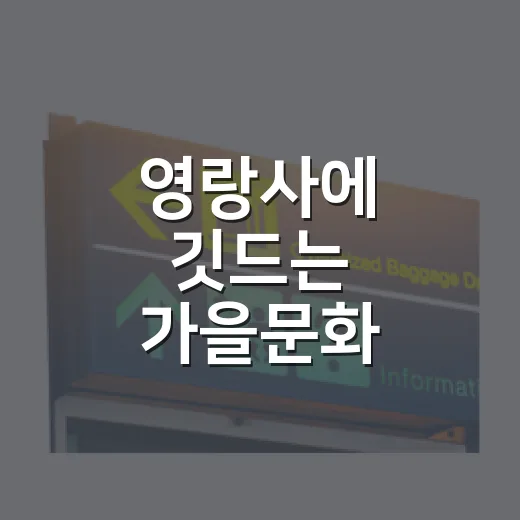 영랑사에 깃드는 가을문화