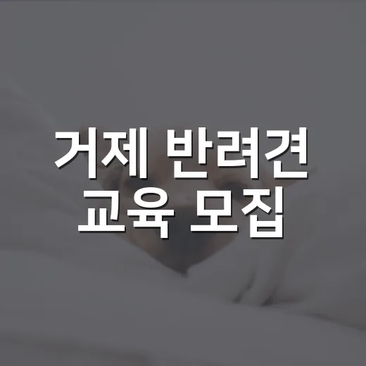 거제 반려견 교육 모집