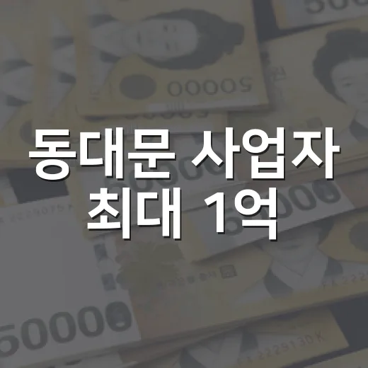 동대문 사업자 최대 1억