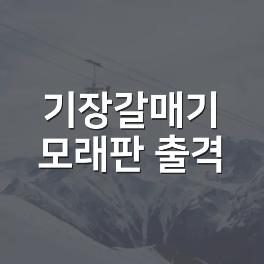 기장갈매기 모래판 출격