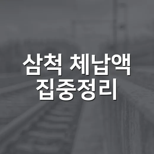 삼척 체납액 집중정리