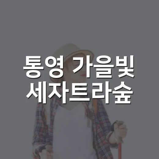 통영 가을빛 세자트라숲
