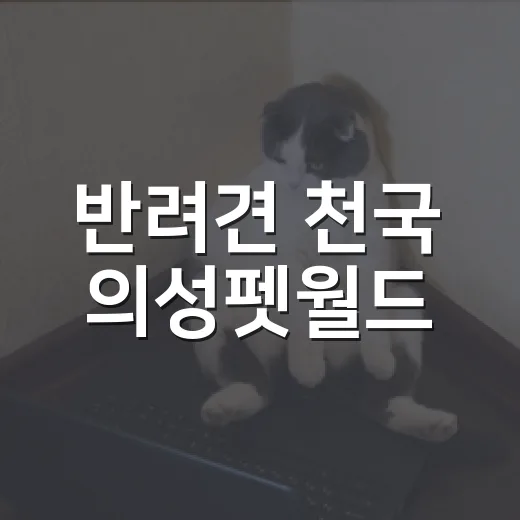 반려견 천국 의성펫월드