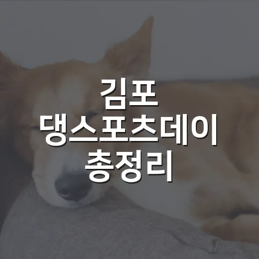 김포 댕스포츠데이 총정리