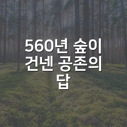 560년 숲이 건넨 공존의 답