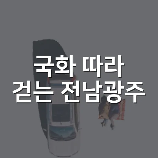 국화 따라 걷는 전남광주