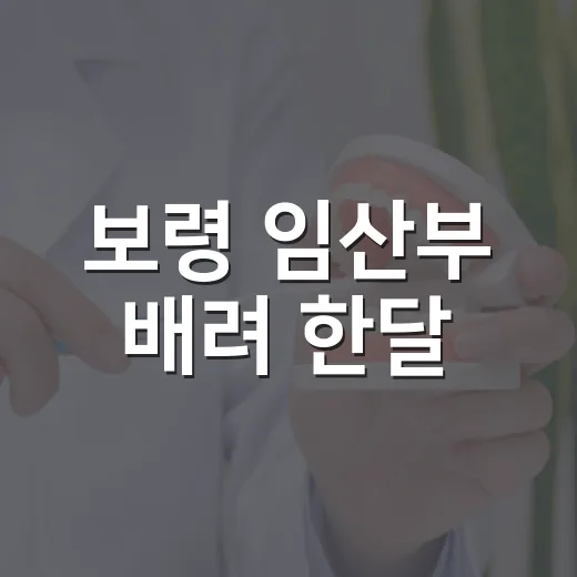 보령 임산부 배려 한달