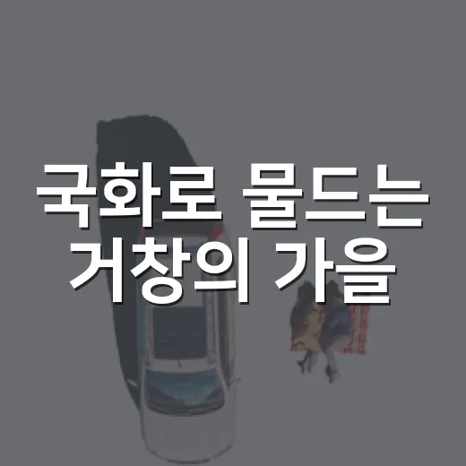 국화로 물드는 거창의 가을
