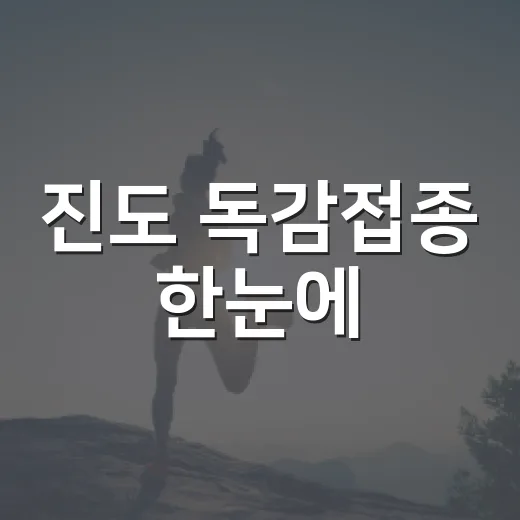 진도 독감접종 한눈에