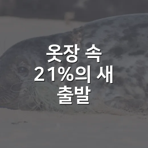 옷장 속 21%의 새 출발