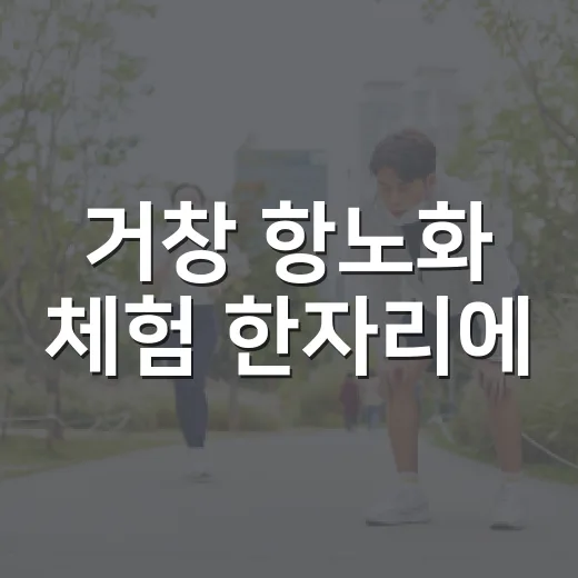 거창 항노화 체험 한자리에