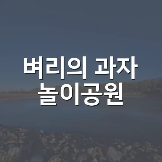 벼리의 과자 놀이공원