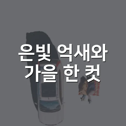 은빛 억새와 가을 한 컷