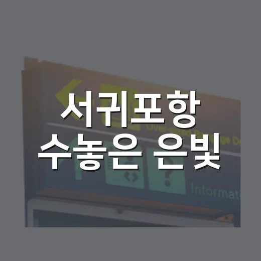 서귀포항 수놓은 은빛