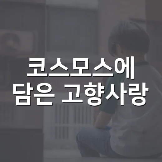 코스모스에 담은 고향사랑
