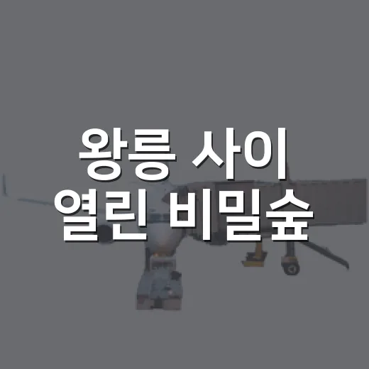 왕릉 사이 열린 비밀숲