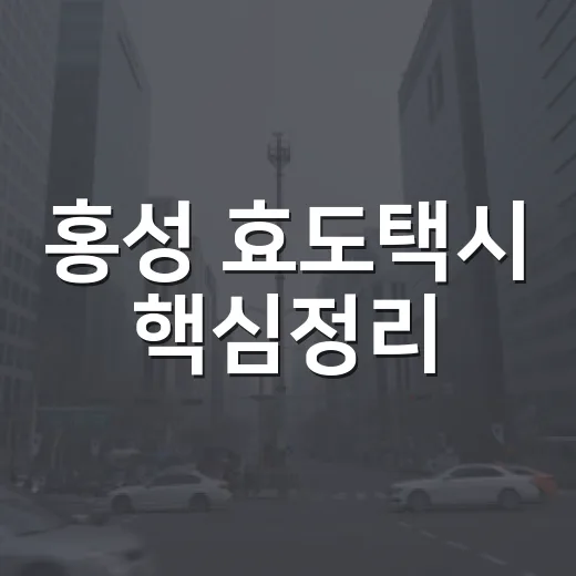 홍성 효도택시 핵심정리