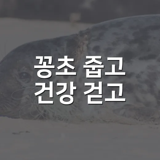 꽁초 줍고 건강 걷고