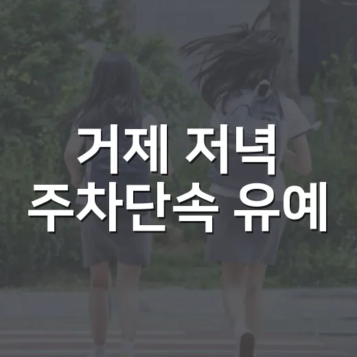 거제 저녁 주차단속 유예