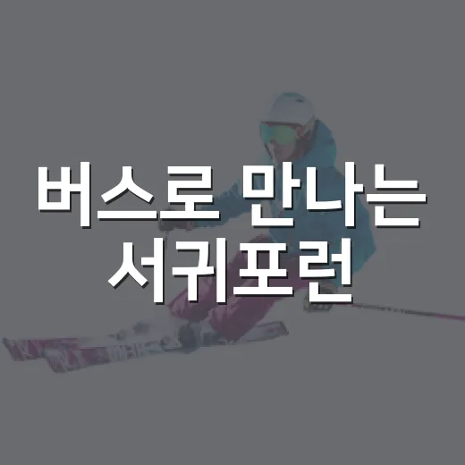 버스로 만나는 서귀포런