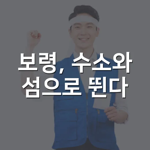 보령, 수소와 섬으로 뛴다