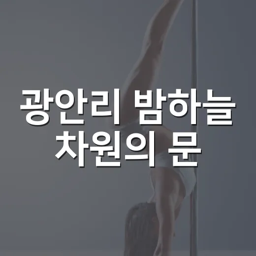 광안리 밤하늘 차원의 문