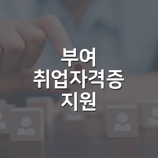 부여 취업자격증 지원