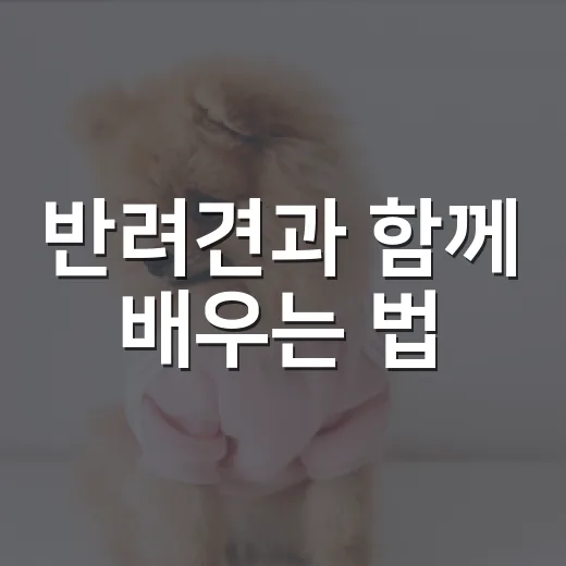 반려견과 함께 배우는 법
