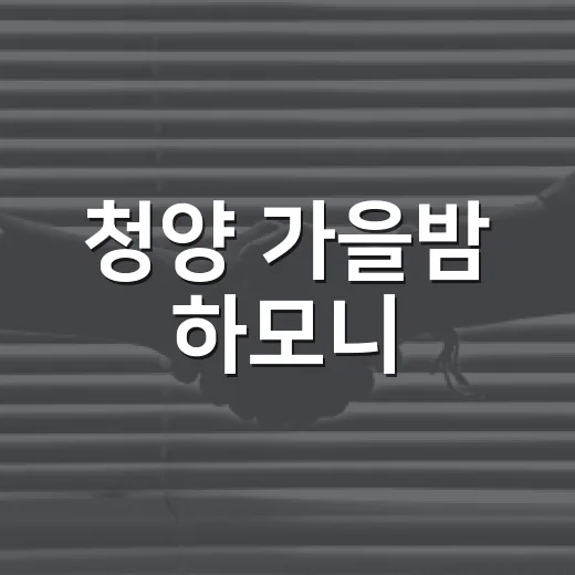 청양 가을밤 하모니