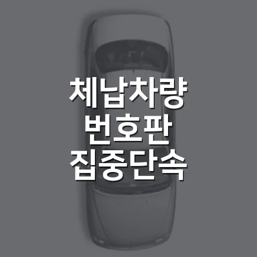 체납차량 번호판 집중단속