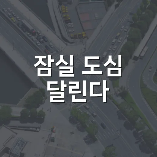 잠실 도심 달린다