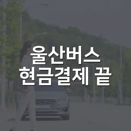 울산버스 현금결제 끝