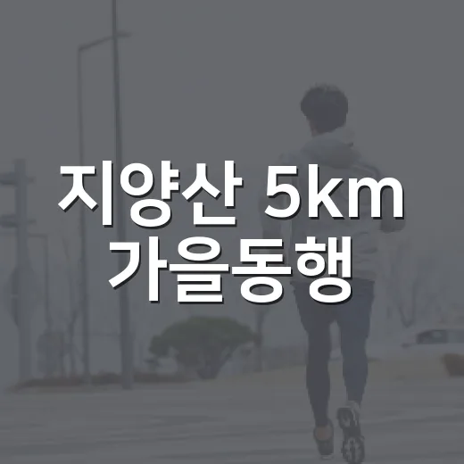 지양산 5km 가을동행