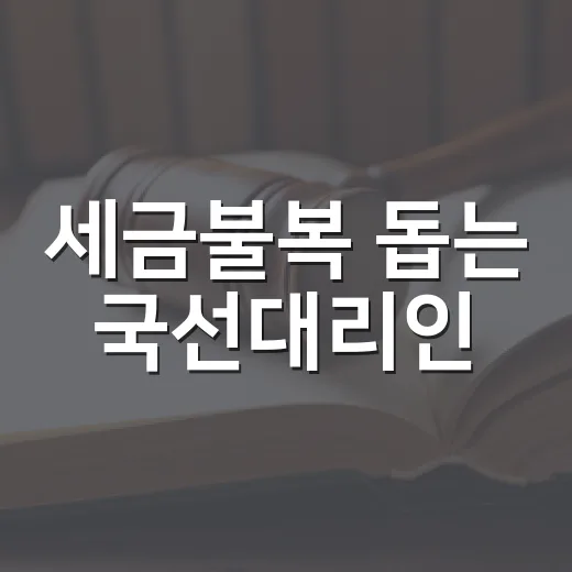 세금불복 돕는 국선대리인